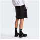 The North Face Ανδρικό σορτς Box NSE Light Regular Shorts